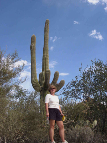 Bild 26 von 76  -  48 kB