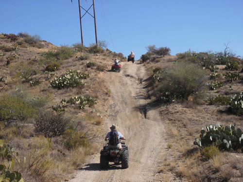 Bild 31 von 76  -  52 kB