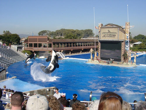 Bild 45 von 76  -  55 kB