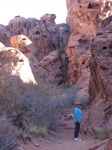 Bild 60 von 76  -  54 kB