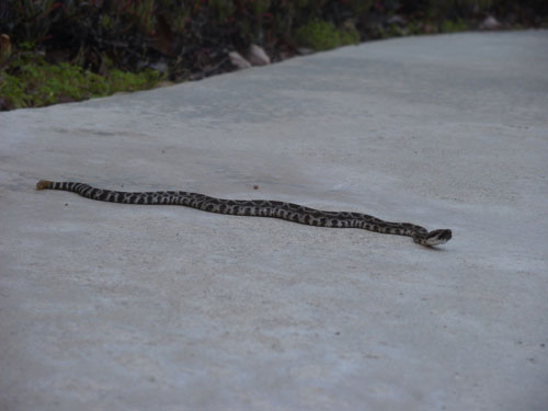 Bild 29 von 84  -  25 kB